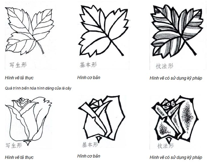 Cách điệu hoa lá - Ứng dụng trong đồ án trang trí (Phần 1) - POLYART -  Traning Art Design