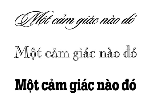 Lựa chọn kiểu chữ