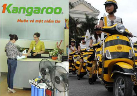 Nghệ thuật quảng cáo nhìn từ Kangaroo và Beeline